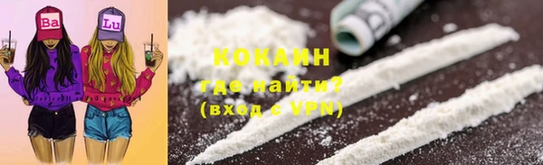 дмт Пестово