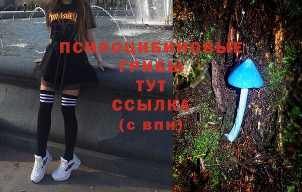 мескалин Осташков