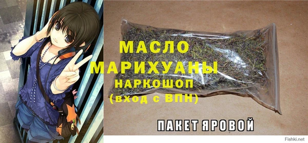 дмт Пестово