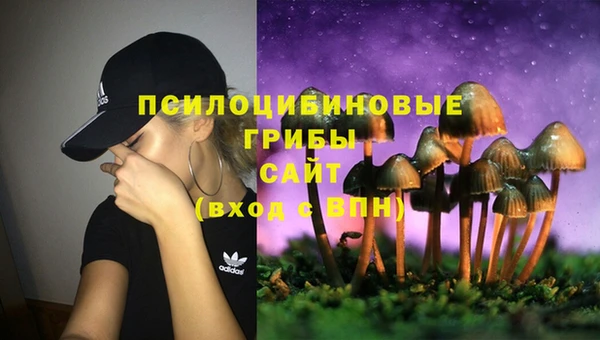 мескалин Осташков