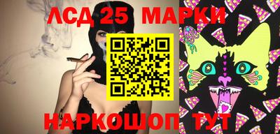 МДПВ Волгодонск