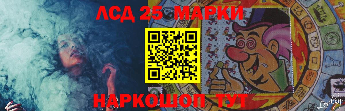 Псилоцибиновые грибы Ейск