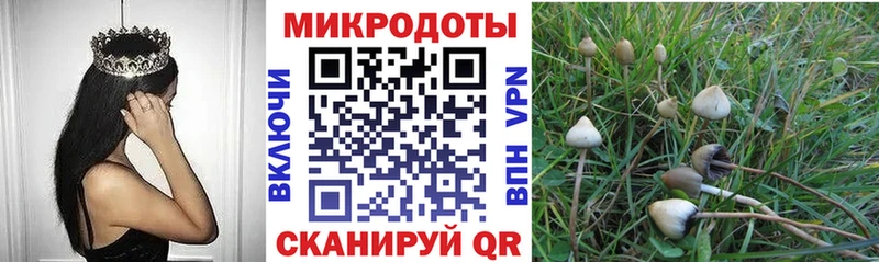 Галлюциногенные грибы ЛСД  магазин  наркотиков  Ейск 