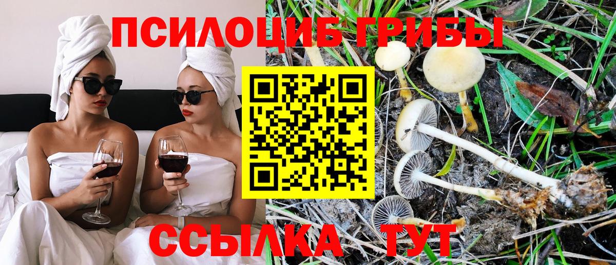 Ейск  Псилоцибиновые грибы MAGIC MUSHROOMS  Вход с VPN 